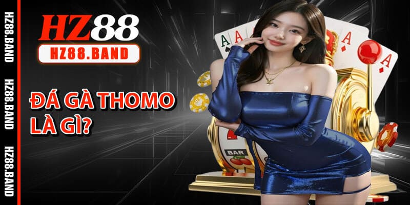 Đá Gà Thomo Là Gì?